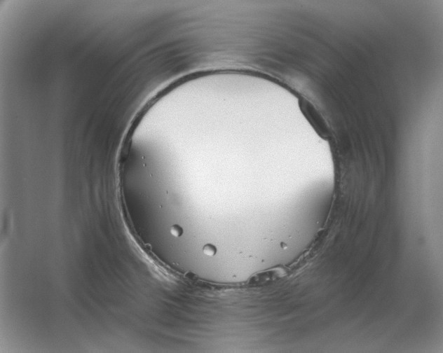 X0000063461380200602101703