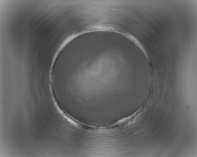 X0000063461381200602101703