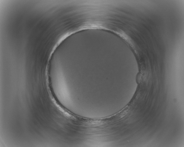 X0000063461382200602101703