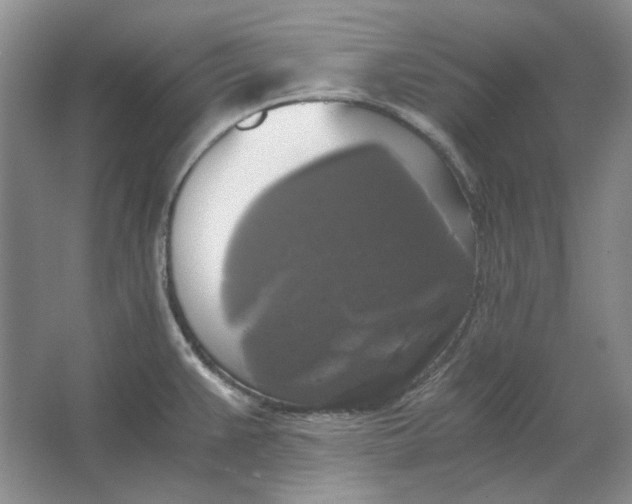 X0000063461383200602101703