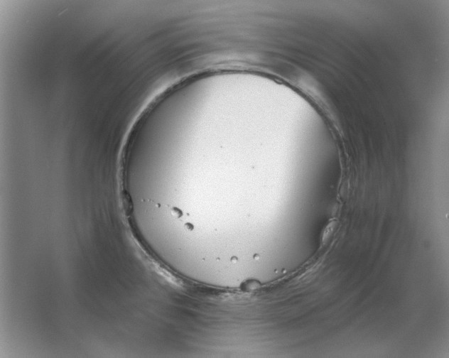 X0000063461384200602101703