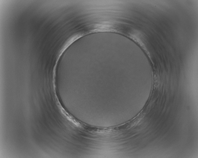 X0000063461386200602101703