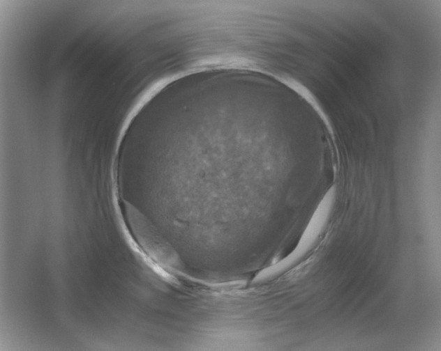 X0000063461389200602101703