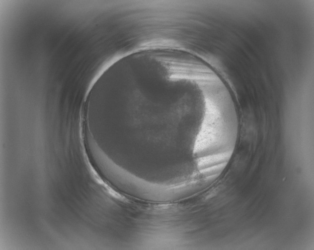 X0000063461390200602101703