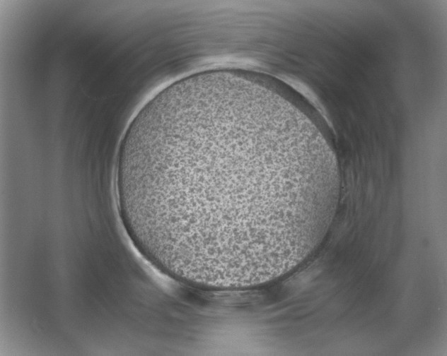 X0000063461391200602101703