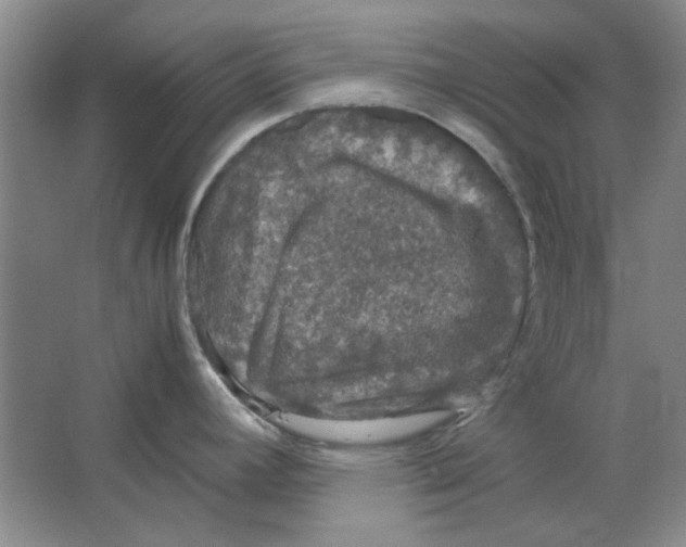 X0000063461392200602101703