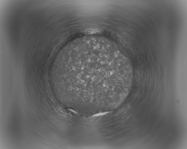 X0000063461393200602101702