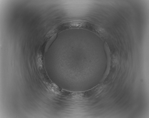 X0000063461394200602101702