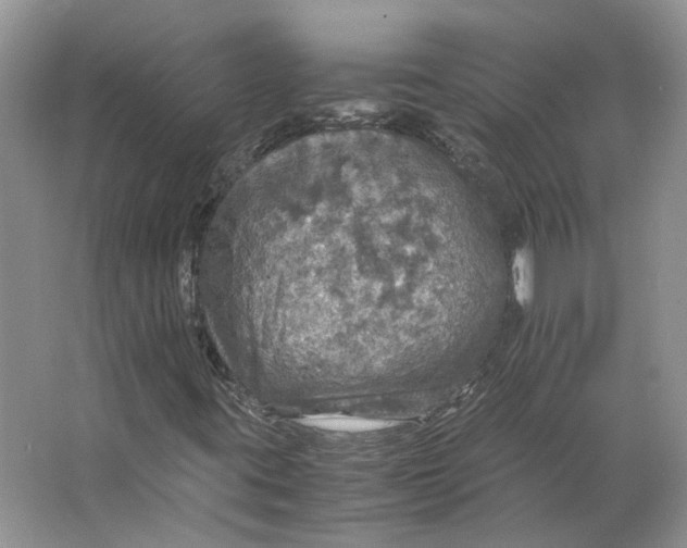 X0000063461395200602101702