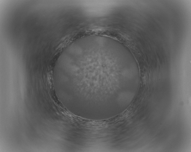 X0000063461397200602101702