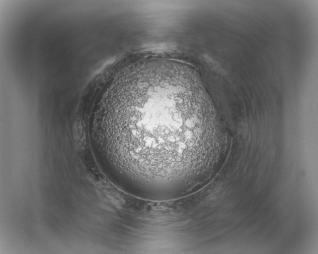 X0000063461398200602101702