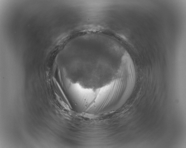 X0000063461399200602101702