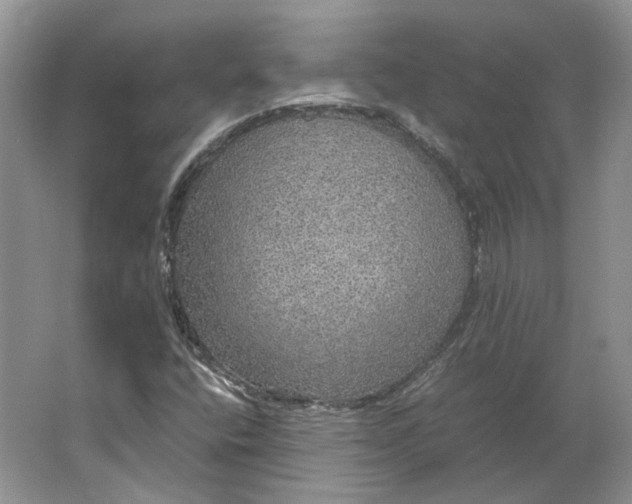 X0000063461400200602101702