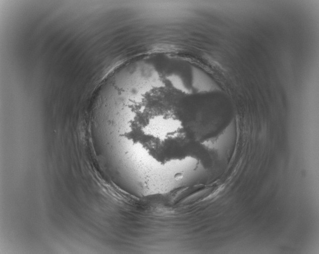 X0000063461401200602101702