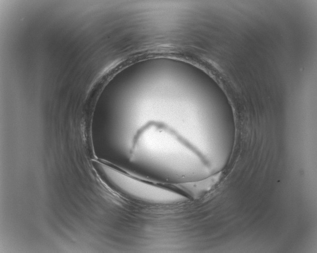 X0000063461402200602101702