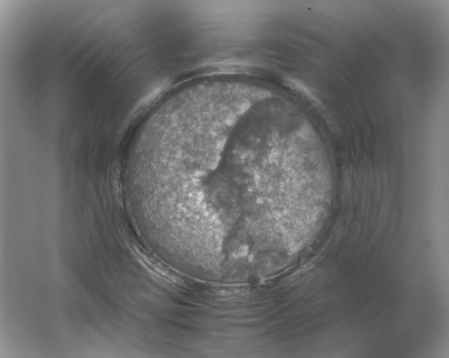 X0000063461403200602101702