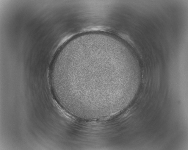 X0000063461404200602101702