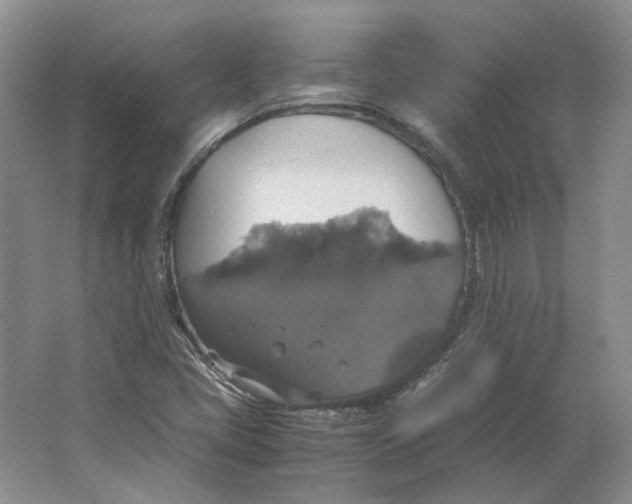 X0000063461405200602101702