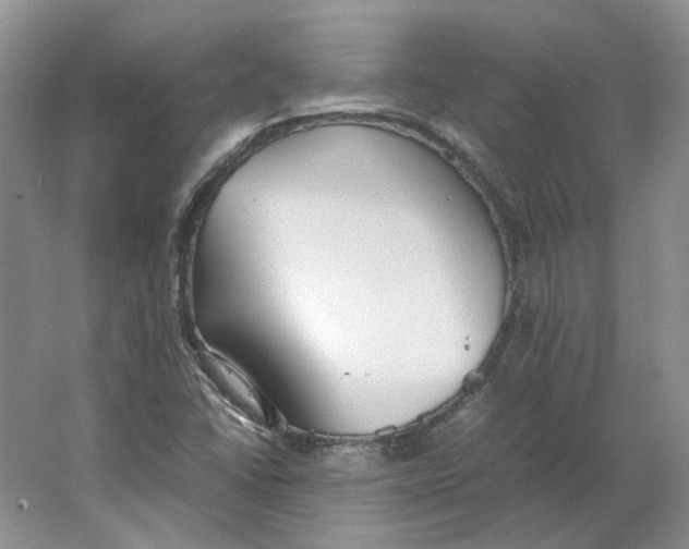 X0000063461406200602101702