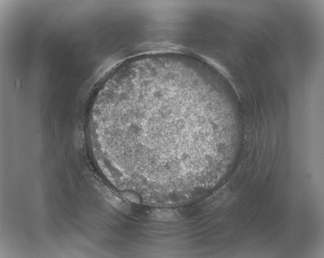 X0000063461407200602101702