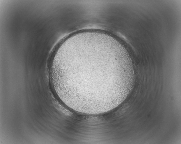 X0000063461408200602101702