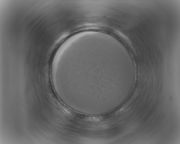 X0000063461411200602101702