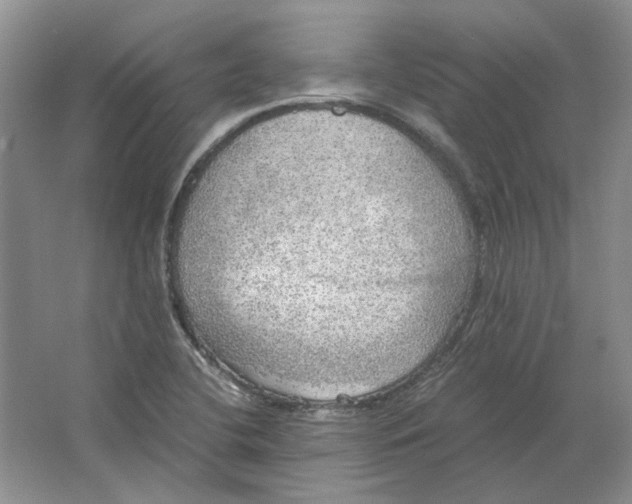 X0000063461412200602101702