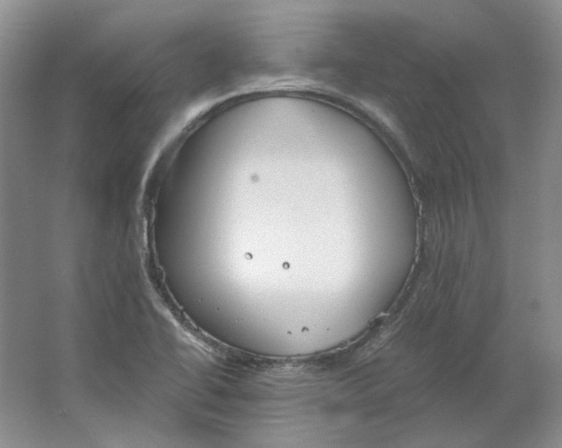 X0000063461414200602101702