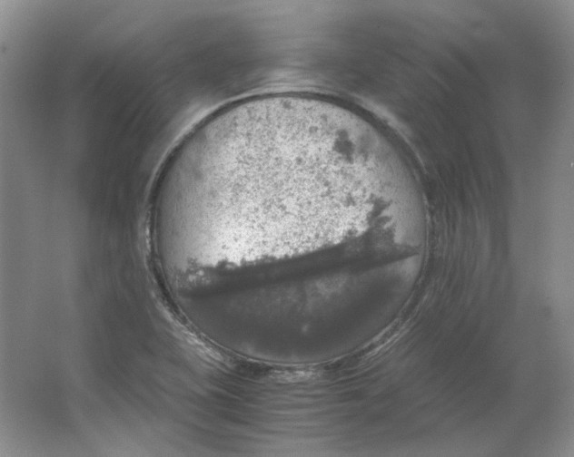 X0000063461415200602101702