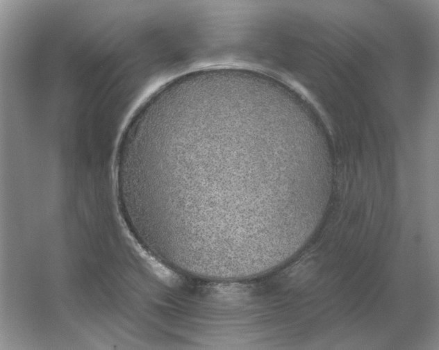 X0000063461416200602101702