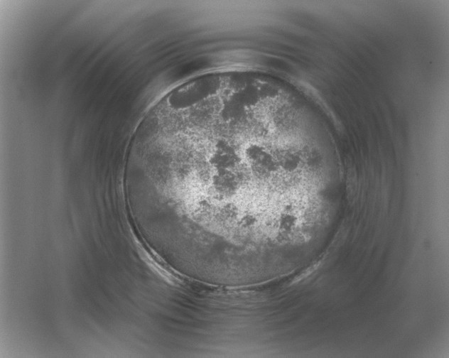 X0000063461417200602101702