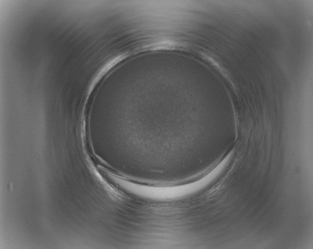 X0000063461418200602101702