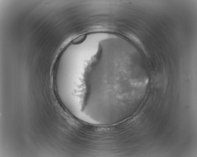 X0000063461419200602101702