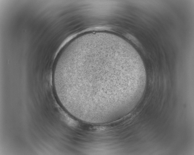 X0000063461420200602101702