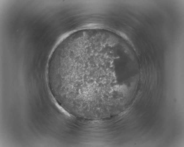 X0000063461421200602101702