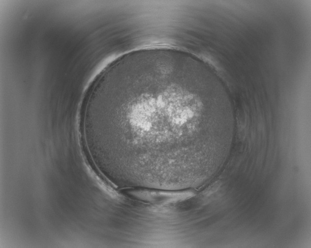 X0000063461422200602101702