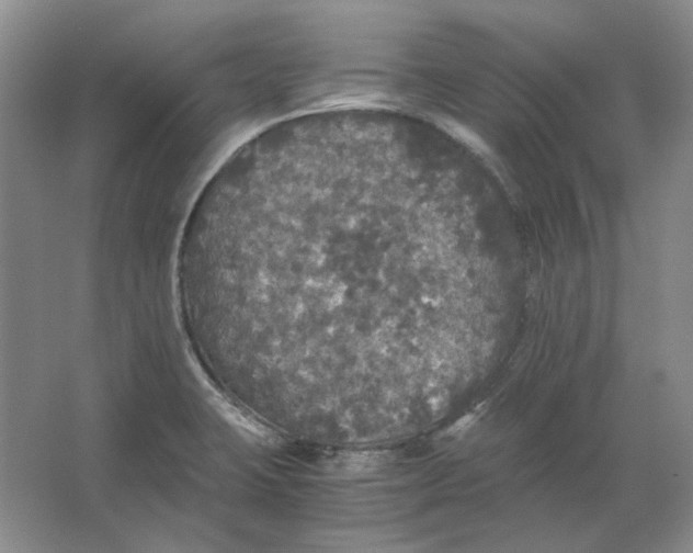 X0000063461423200602101703