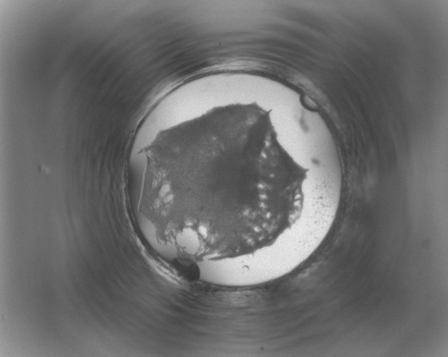 X0000063461425200602101703