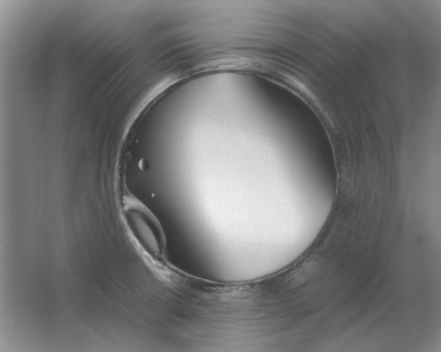 X0000063461426200602101703