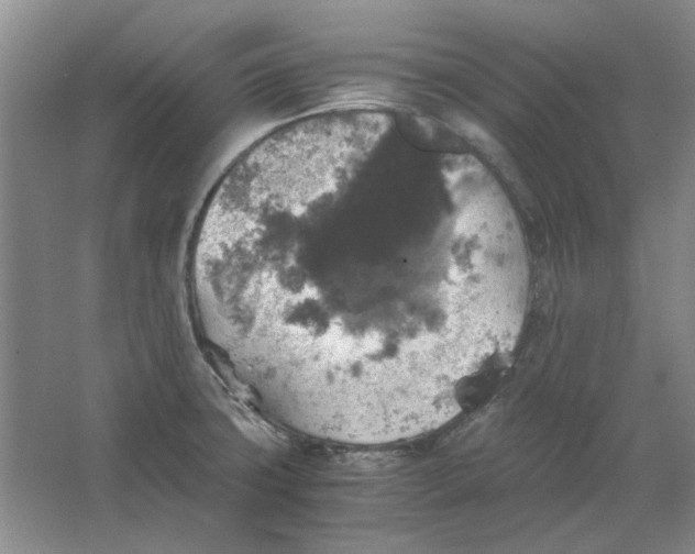 X0000063461427200602101703