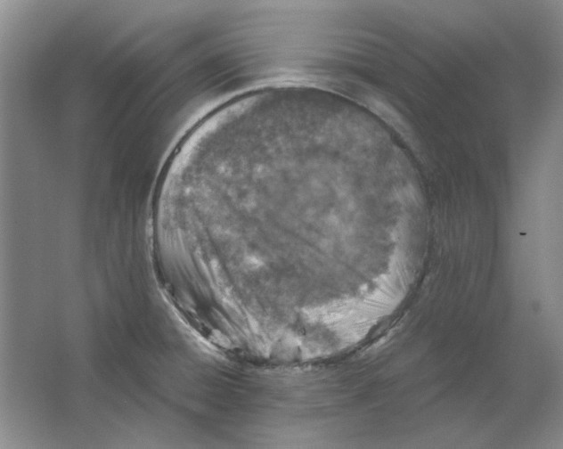 X0000063461428200602101703