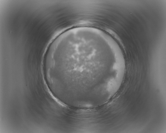 X0000063461429200602101703