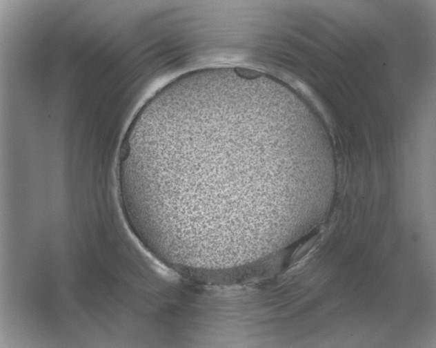 X0000063461432200602101703