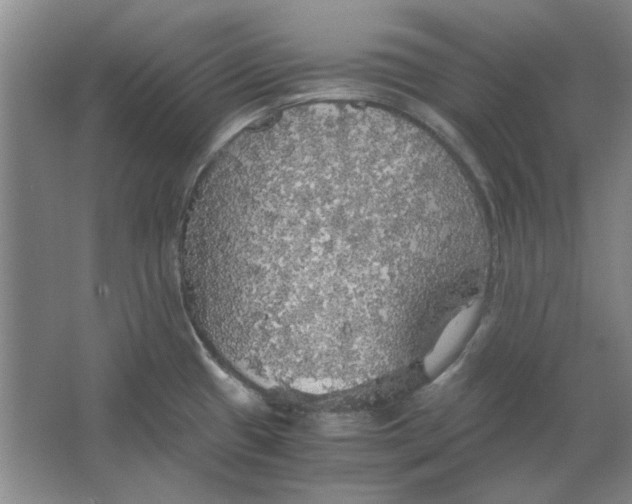 X0000063461433200602101703