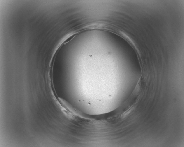 X0000063461434200602101703