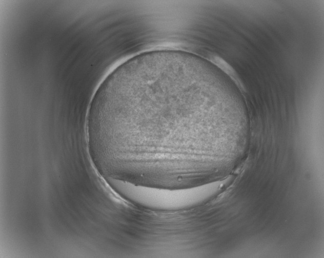 X0000063461436200602101703