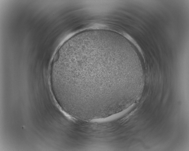 X0000063461437200602101703