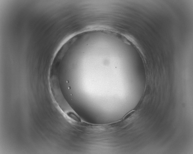 X0000063461438200602101703