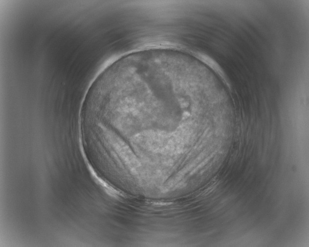 X0000063461439200602101703