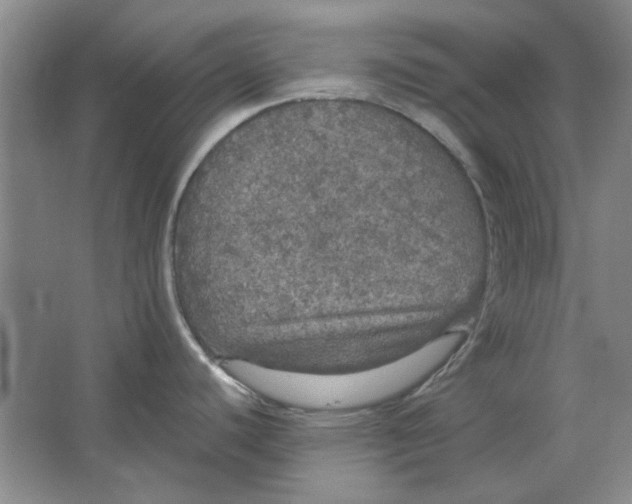 X0000063461440200602101703